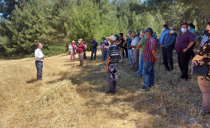 “İkizköy Akbelen Ormanı hem Muğla’nın hem de Türkiye’nin sorunudur”