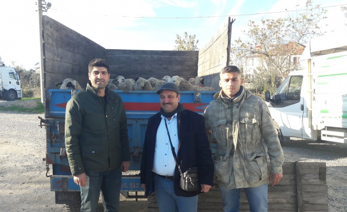 Genç Çiftçi Projesi ile küçükbaş hayvan dağıtıldı