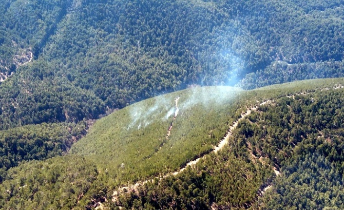 Yatağan’da orman yangını