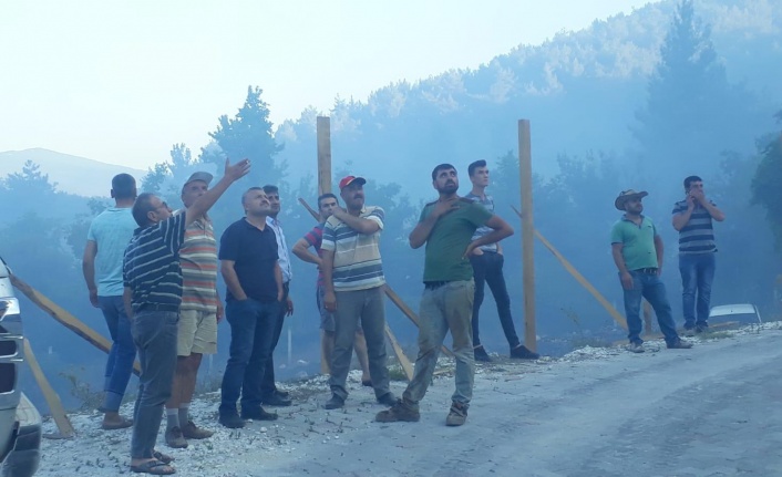 Kavaklıdere’de 1 hektar orman kül oldu