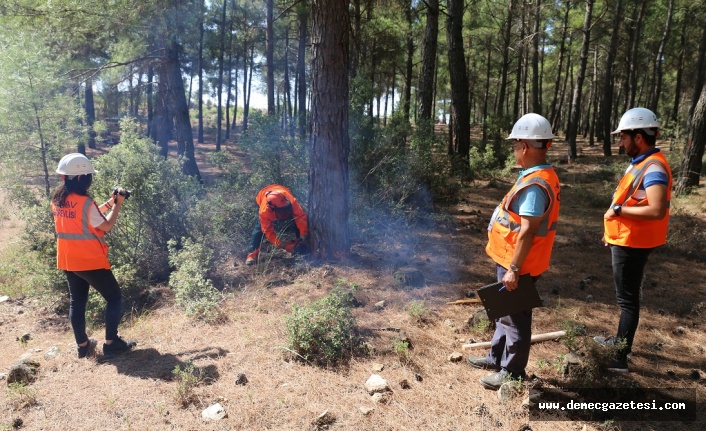 Orman işçisi mesleki yeterlilik belgelendirme sınavları başladı