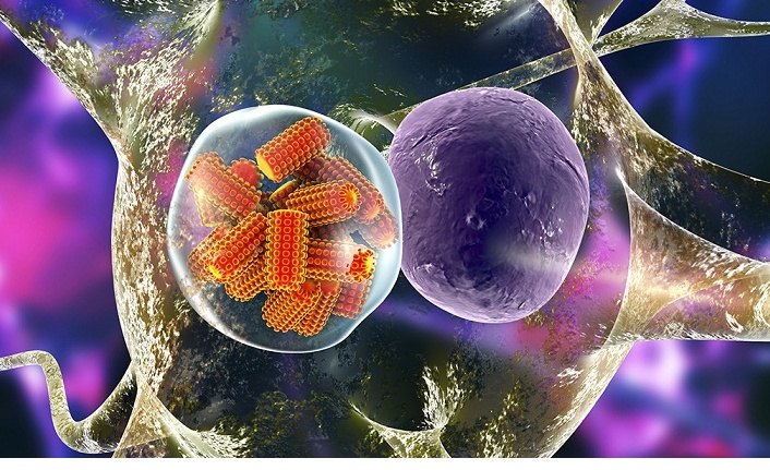 “Kuduzdan korunmanın en etkili yolu bilinçli olmaktır”