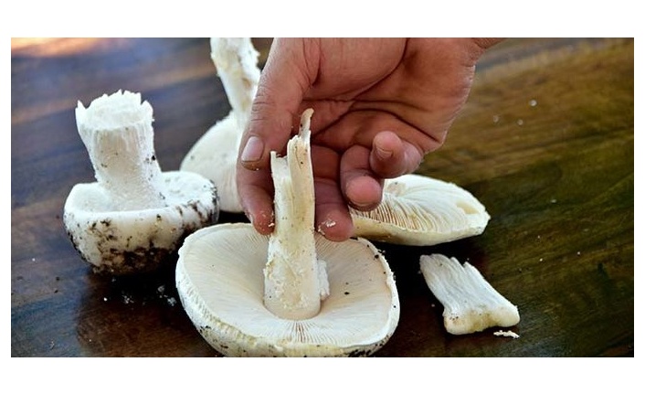 Kızı öldü, anne 18 gündür yaşam savaşı veriyor