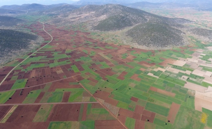 Aydın, Denizli ve Muğla’da 269 bin 647 dekar tarım arazisi toplulaştırıldı