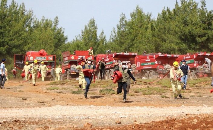 En başarılısı Yatağan Orman İşletme!