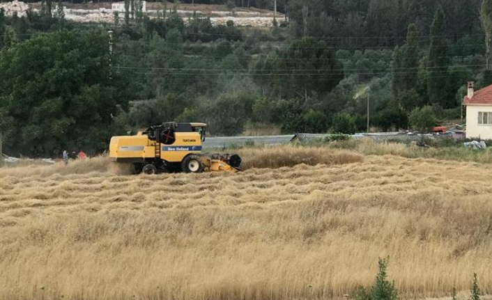 Kavaklıdere Belediyesi’nden tarımsal atak