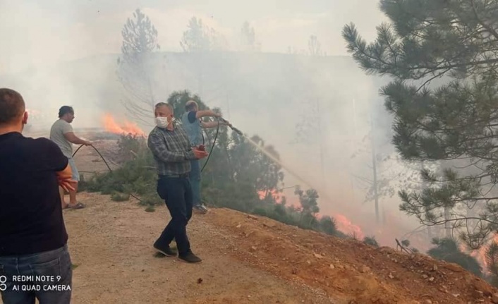 Kavaklıdere’de 3 hektar ormanlık alan yandı