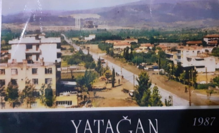 Kemiksiz, Toksöz’ü yalanladı: O ağaçları amcan değil, Ahmet Necati Özdemir diktirdi!