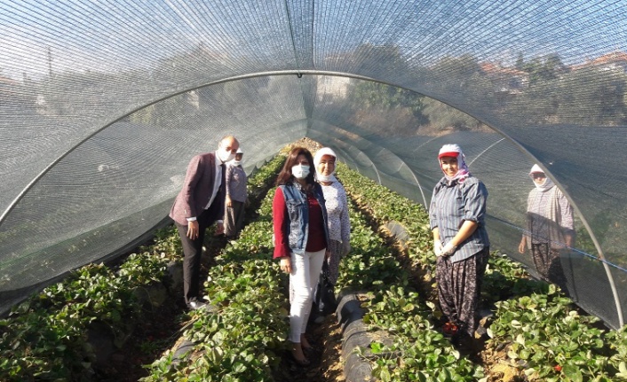 Dünya Kadın Çiftçiler Günü’nde kadın üreticilere anlamlı ziyaret