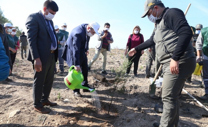 Geleceğe Nefes olacak fidanlar toprakla buluştu