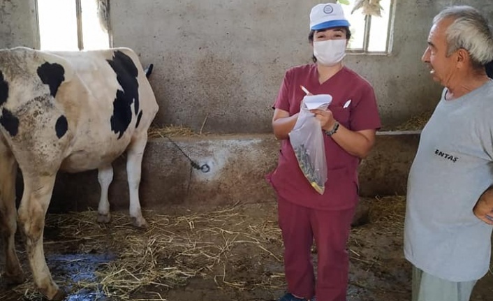 “Şap aşısını yaptır, et ve süt üretimini artır”