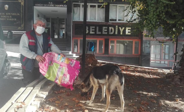 Sokağa çıkma kısıtlamasında sokak hayvanları unutulmadı