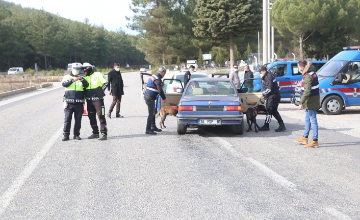 Narkotik ve bomba arama köpekli huzur ve güven uygulaması