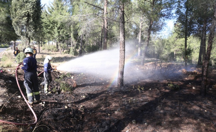 Yatağan’da sokağa çıkma yasağında orman yangını!