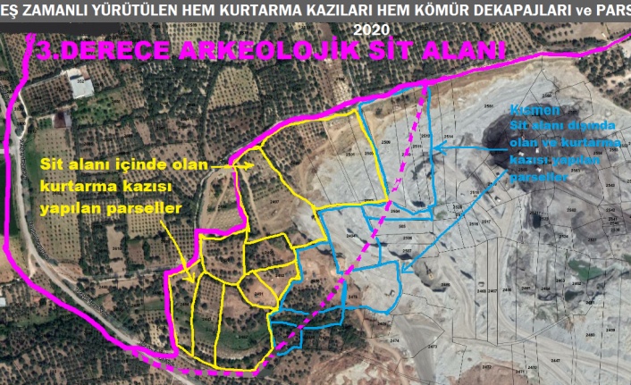 Lagina Antik Kenti’ndeki arkeolojik sit alanında çevre zaferi