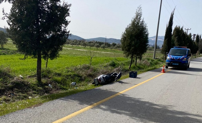 Motosiklet ağaca çarptı: 2 yaralı