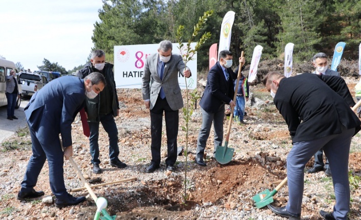 Muğla’da “Mercan Hatıra Ormanı”
