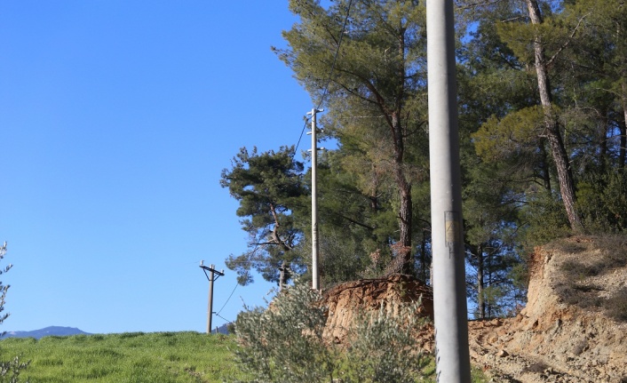 Vatandaş, 15 bin liraya elektrik direği diktirdiği tarlasına elektrik istiyor!