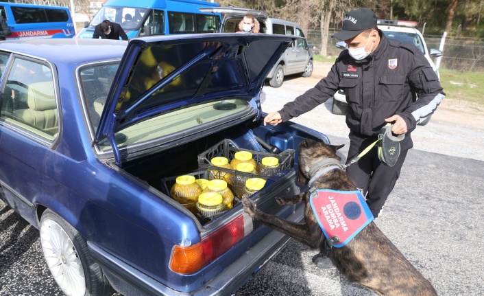 Yatağan’da 10 ayrı noktada huzur ve güven uygulaması
