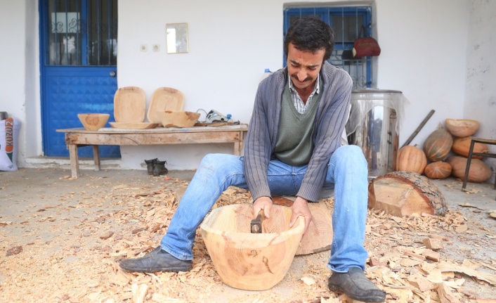 Zarar gören fıstık çamları, onların elinde hayat buluyor