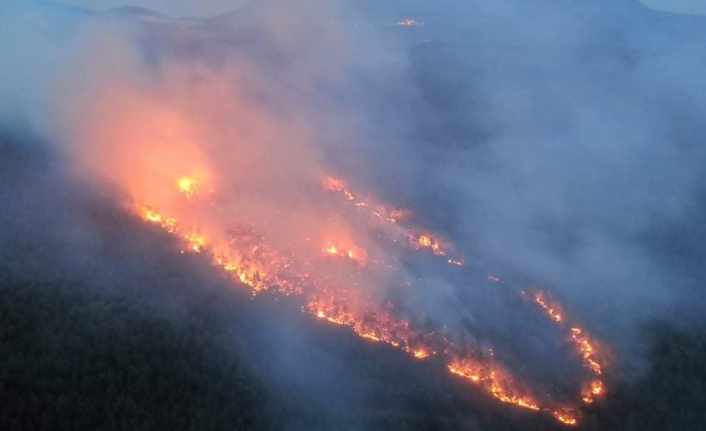 Menteşe ve Kavaklıdere’de 29 hektar kül oldu