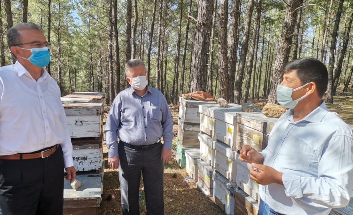 Girgin’den çağrı: “Bal ve zeytine boksit madeni için kıymayın”