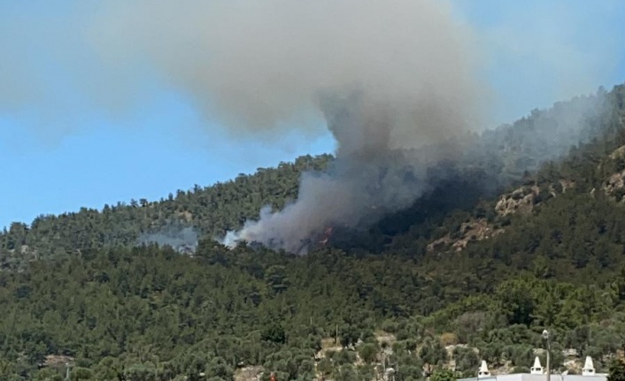 Çökertme’deki yangın kontrol altına alındı