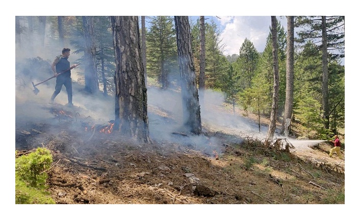 Muğla’da 12 günde 48 yıldırım yangını