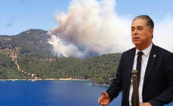 “Orman yangınlarından daha önemli bir milli mesele olamaz”
