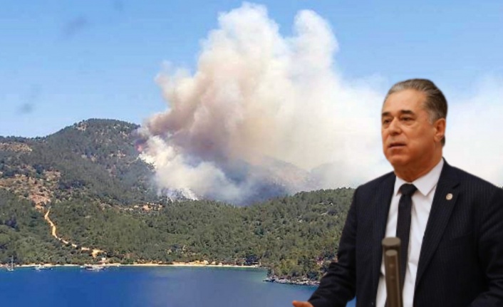 “Ormanlarımız ranta kurban ediliyor”