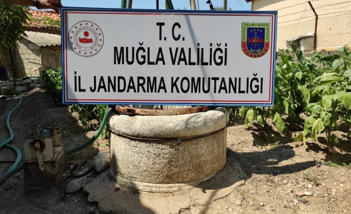 Evin bahçesinde tarihi sütun ele geçirildi