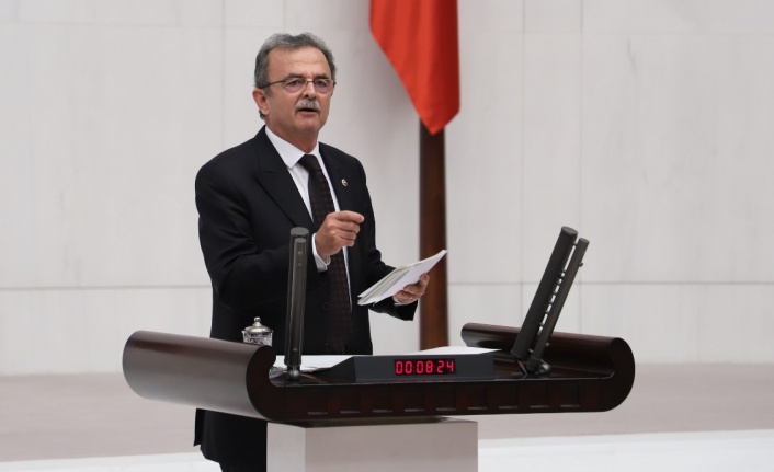 Girgin, orman ve kâğıt fabrikası yangınını meclise taşıdı