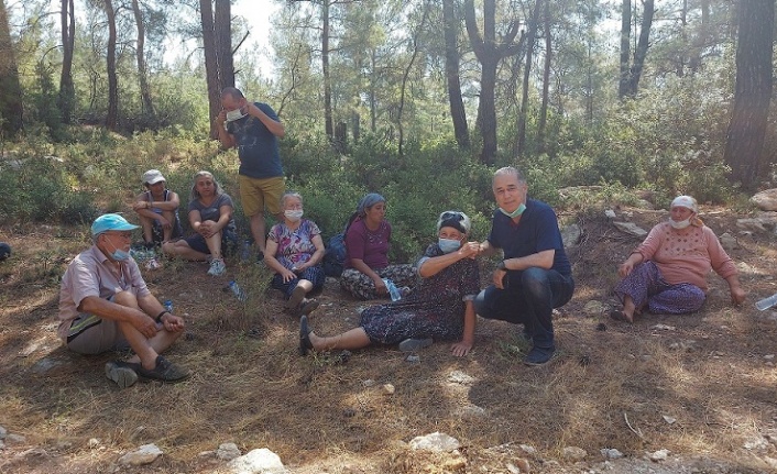 Milas-Akbelen ormanları sabah erken saatlerde kesilmeye başlandı