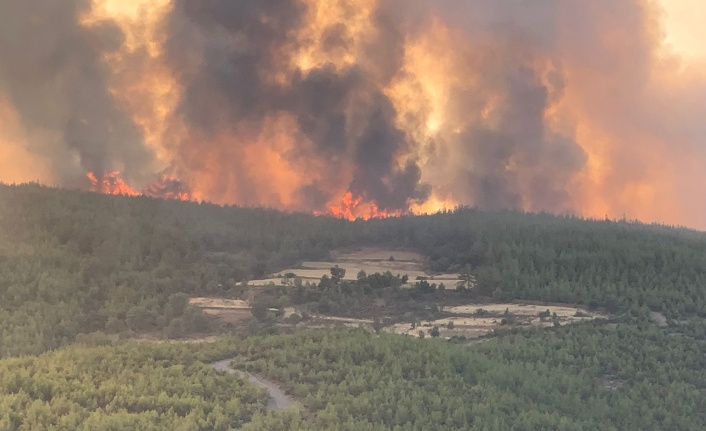 Bozdoğan’daki yangın Kavaklıdere’ye sıçradı