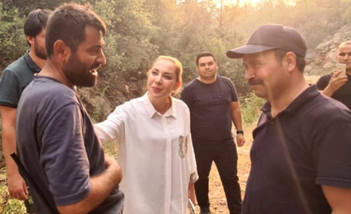 Gökcan, “Uçakları göremeyen muhalefet göz doktoruna gitsin”