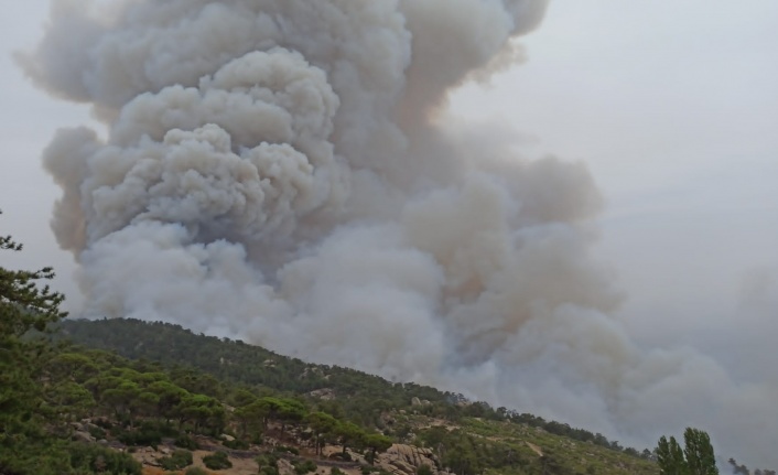 Hacıveliler Mahallesi’nde başlayan yangın kontrol altına alındı