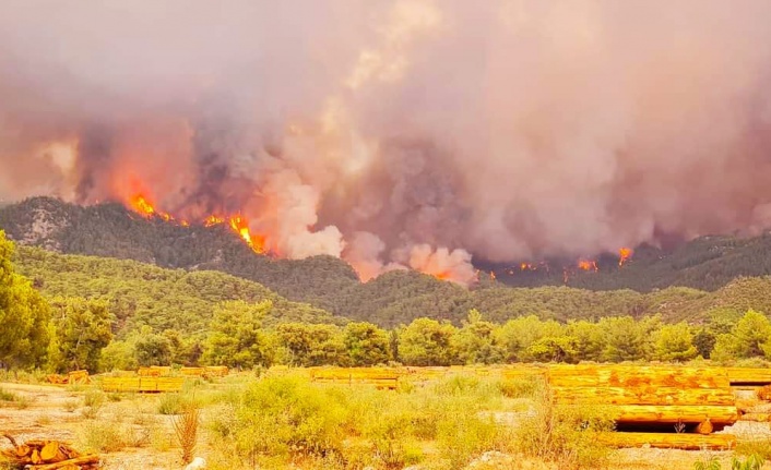 Muğla’daki yangınlarda son durum!