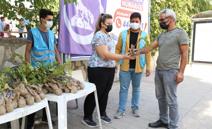Ülkü Ocakları’ndan Bir Fidan Bir Nefes Bir Umut