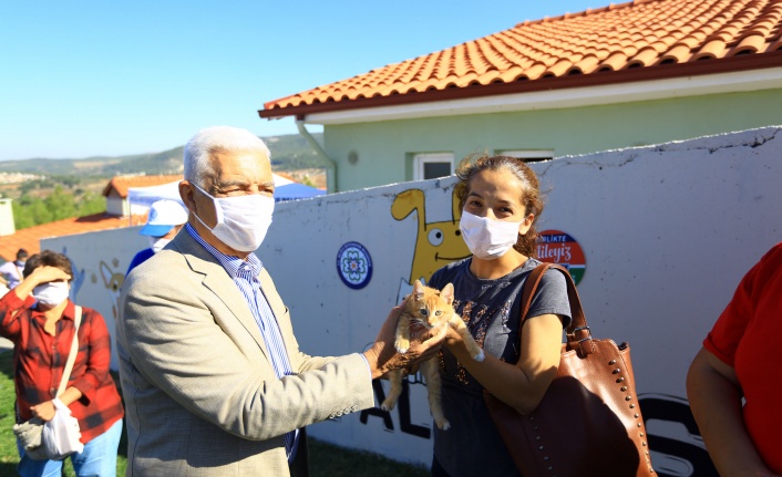 Sokak hayvanları ’mikroçip’ ile kayıt altına alınıyor