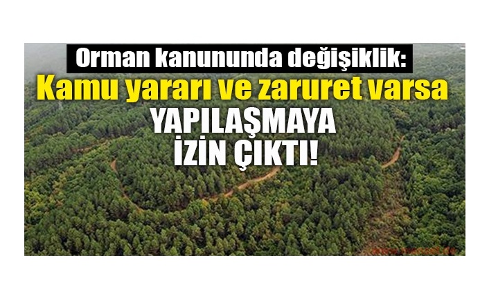 ORMAN KANUNU DEĞİŞTİ: HAVAALANI, LİMAN YAPILABİLECEK