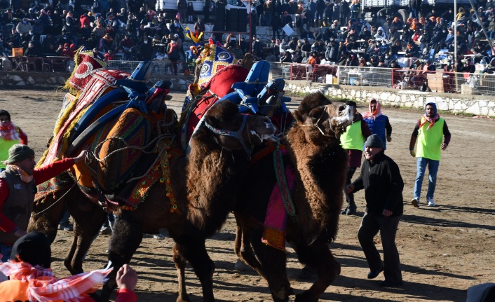 21. Deve Güreşi Festivali, Renkli Görüntülere Sahne Oldu