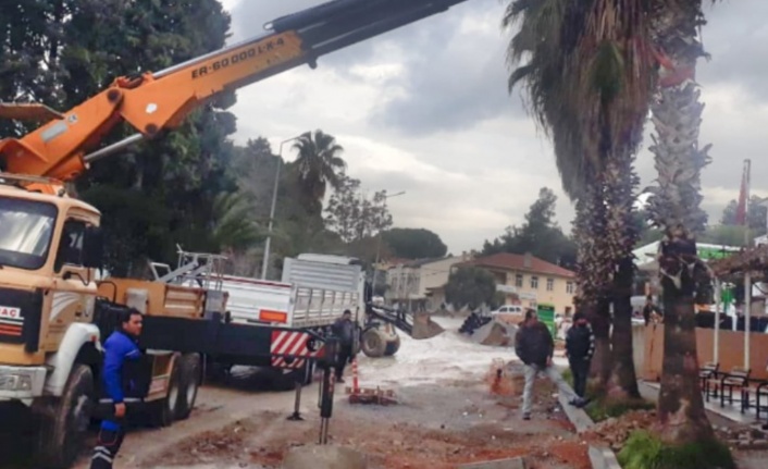 Ağaçlar Zarar Görmeden Taşınıyor