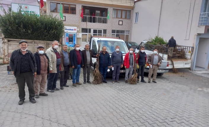YATAĞAN ZİRAAT ODASI MEYVE FİDANI DAĞITIMINA BAŞLADI