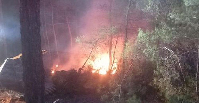 Yatağan’da orman yangını büyümeden söndürüldü