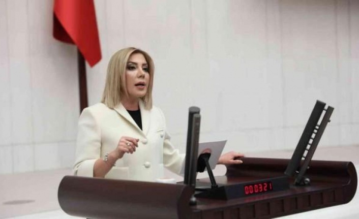 AK PARTİ’Lİ GÖKCAN’DAN ÇİMENTO FABRİKASI RUHSATINA TEPKİ