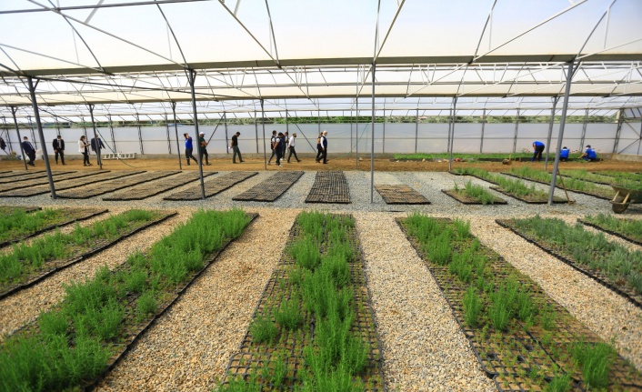 BAHÇEYAKA AKILLI TARIM ÇİFTLİĞİ YILDA 300 TON SU TASARRUFU SAĞLIYOR