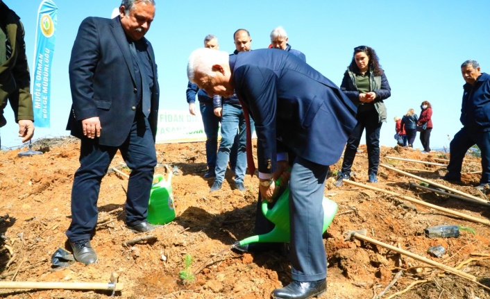 Avni Burak Yenice için hatıra ormanı oluşturuldu