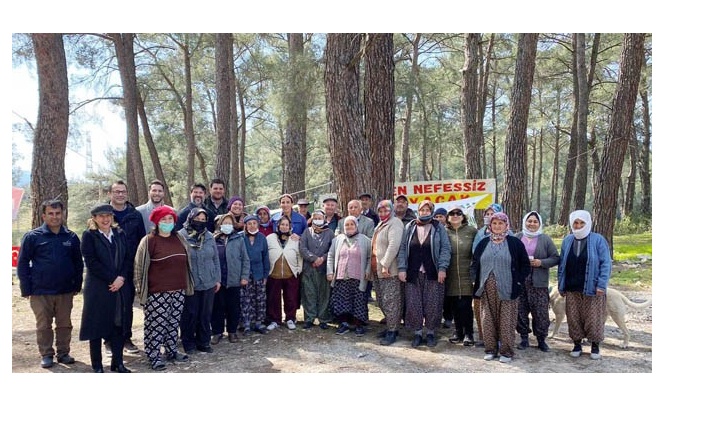 DEVA’DAN AKBELEN ORMANI TEPKİSİ AĞAÇ KATLİAMINA ASLA MÜSAADE EDEMEYİZ