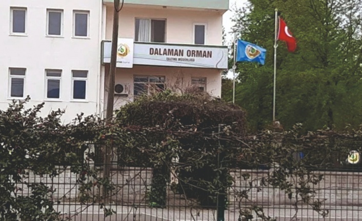 Muğla’da ’rüşvet’ operasyonu! 25 kişi gözaltına alındı!