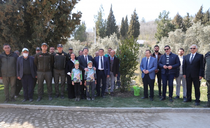 STRATONİKEİA ANTİK KENTİNDE  FİDANLAR TOPRAKLA BULUŞTU